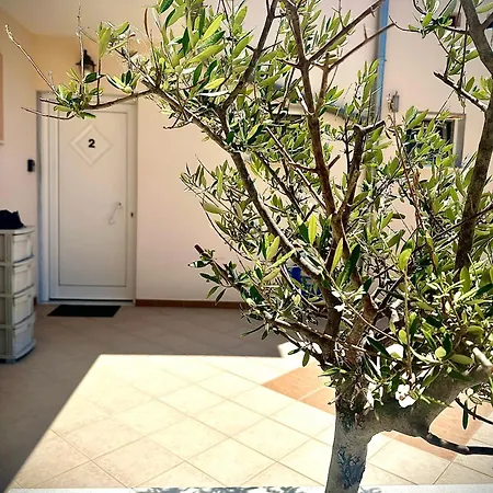 Porto Nuovo 2 Limenas (Thasos)