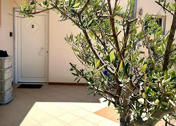 Porto Nuovo 2 Limenas (Thasos)